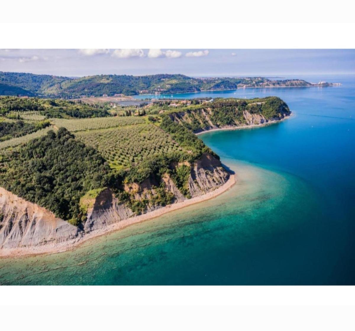 Apartma REA Izola Bagian luar foto