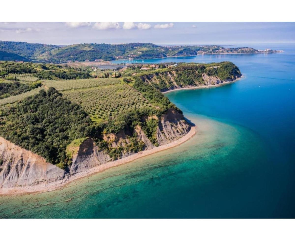 Apartma REA Izola Bagian luar foto